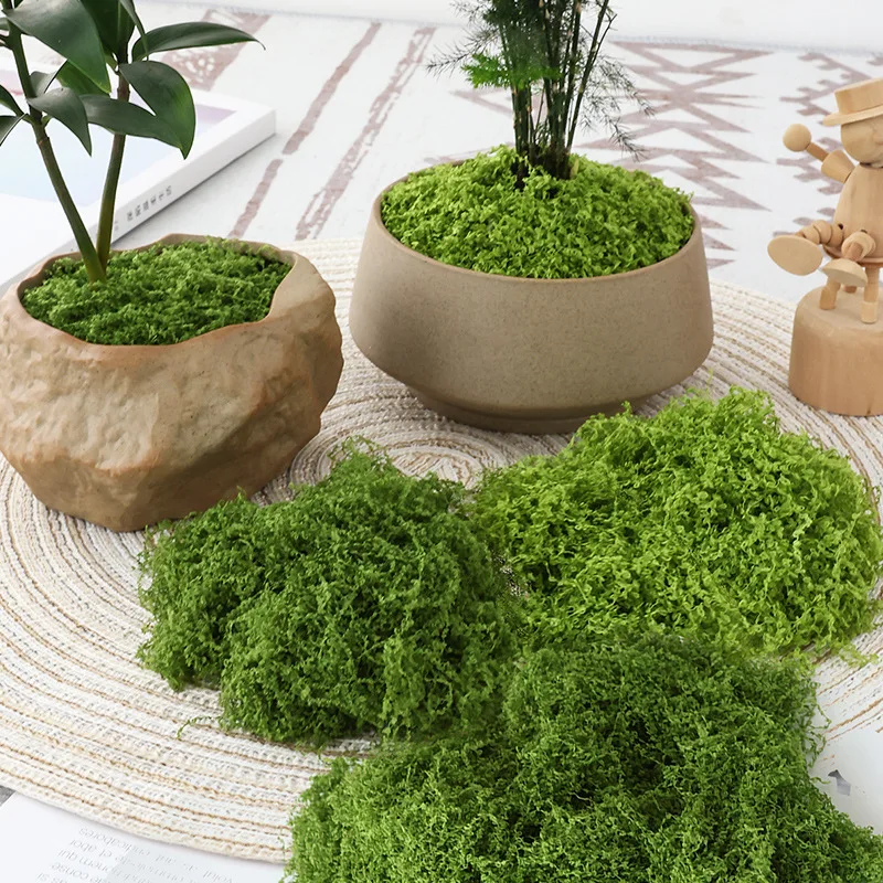 Terrarium Moss Art - 1 pièce de gazon artificiel en