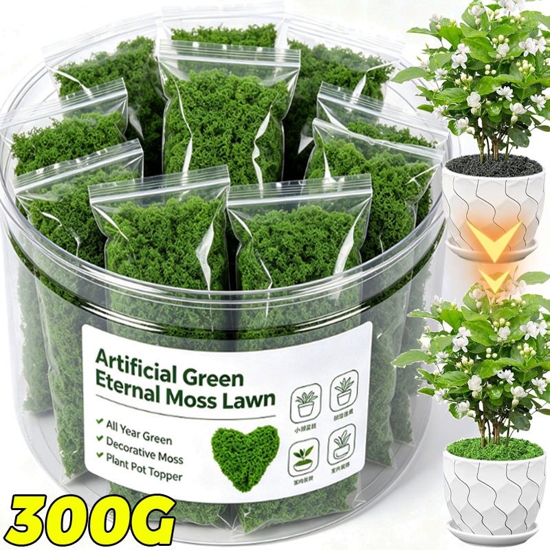 Terrarium Moss Art - Plantes vertes artificielles, mousse éternelle, mousse