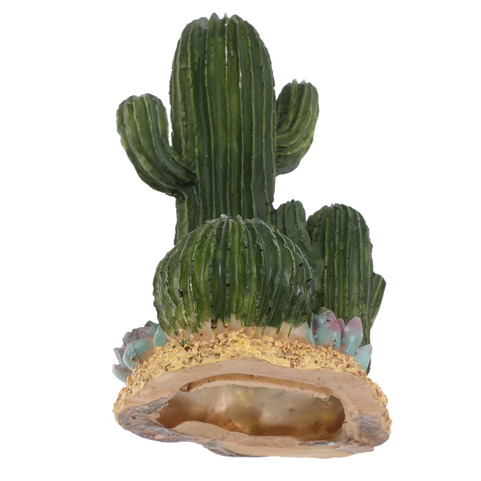Plante de cactus artificielle  - Terrarium Moss Art avis et prix