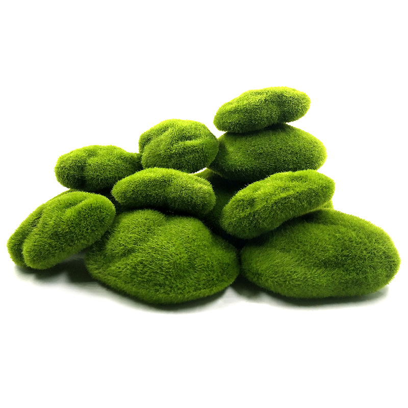 Plantes de mousse d'herbe arti - Terrarium Moss Art avis et prix