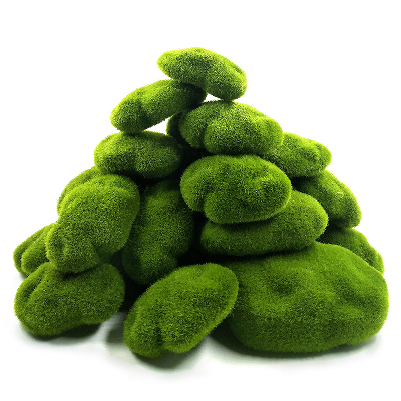 Plantes de mousse d'herbe arti - Terrarium Moss Art avis et prix