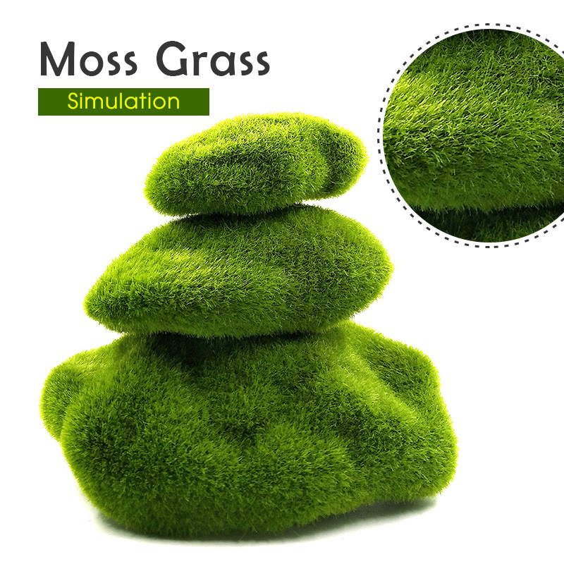 Plantes de mousse d'herbe arti - Terrarium Moss Art avis et prix