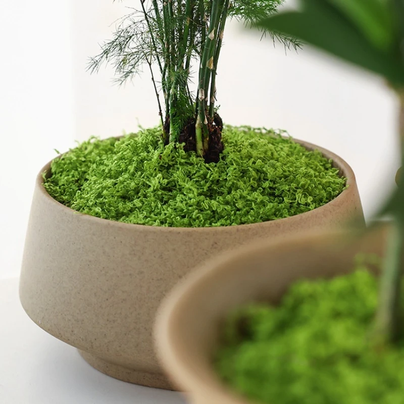 1 pièce de gazon artificiel en - Terrarium Moss Art avis et prix