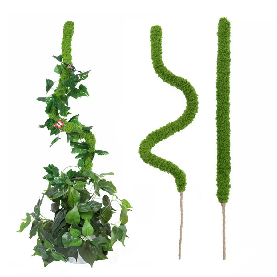 1 pièce de bâton de mousse art - Terrarium Moss Art avis et prix