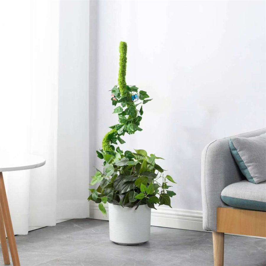 1 pièce de bâton de mousse art - Terrarium Moss Art avis et prix